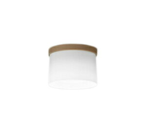 I[fbN OL291269NR LED^V[OCg R15F NX2 M60W F 񒲌 Ɩ VƖ L 