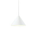 オーデリック OP252896LR LEDペンダントライト R15高演色 クラス2 白熱灯器具60W相当 非調光 電球色 プラグタイプ 照…