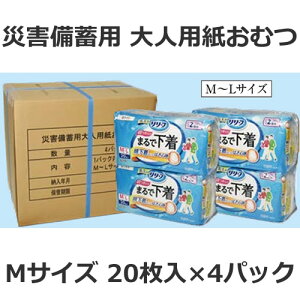 hЗpi ނ lp MTCY pc ܂ŉ ȉ̂悤Ȃ͂Sn ЊQ~p (20×4pbN)