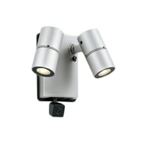 I[fbN OG264249R GNXeA LEDX|bgCg MINIMAL R15F NX2 42°Chz lmJt JDR50W×2 dF 񒲌 Ɩ AEghACg Op