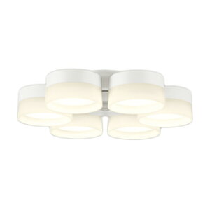 �I�[�f���b�N WF257PR �V�[�����O�t�@���p���� 10���p R15�����F �N���X2 �����Z�[�h�^�C�v 6�� LC-CHANGE ���F�ؑ֒��� �d�C�H���s�v �Ɩ���� �V��Ɩ� �y�`10��z