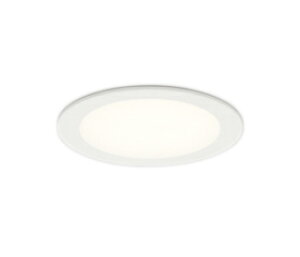 I[fbN OD361678BR LEDtbg_ECg S` 100 M100W CSB` R15F NX2 113°gUz CONNECTED LIGHTING LC-FREE EF BluetoothΉ Ɩ