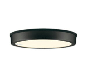 I[fbN OG254816R GNXeA LEDV[OCg FLAT PLATE R15F NX2 FCL30W lZT[t dF 114°gUz vdCH Ɩ Op p