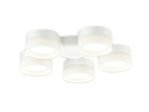 I[fbN WF298WR V[Ot@p 6p R15F NX2 Z[h^CvE5 F 񒲌 Ɩ y`6z