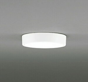 I[fbN OL251754R LED^V[OCg FLAT PLATE [tbgv[g] LEĎ^ R15NX2 A F M100W Ɩ  L ǖʁEVtp