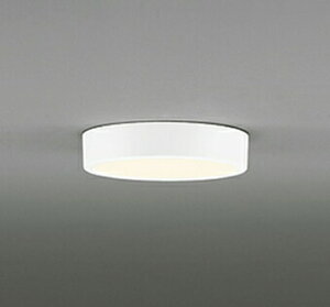 I[fbN OL251755R LED^V[OCg FLAT PLATE [tbgv[g] LEĎ^ R15NX2 A dF M100W Ɩ  L ǖʁEVtp