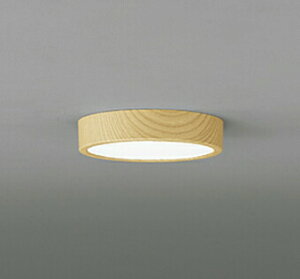 I[fbN OL251770R LEDa^V[OCg FLAT PLATE [tbgv[g] LEĎ^ R15NX2 A F M100W Ɩ  L a ǖʁEVtp