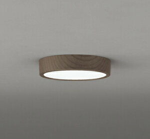 I[fbN OL251772R LEDa^V[OCg FLAT PLATE [tbgv[g] LEĎ^ R15NX2 A F M100W Ɩ  L a ǖʁEVtp