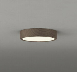I[fbN OL251773R LEDa^V[OCg FLAT PLATE [tbgv[g] LEĎ^ R15NX2 A dF M100W Ɩ  L a ǖʁEVtp