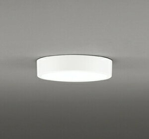 I[fbN OL251858R LED^V[OCg FLAT PLATE [tbgv[g] LEĎ^ R15NX2 񒲌 F M100W Ɩ  L ǖʁEVtp