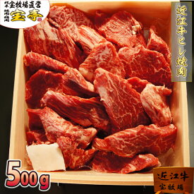 宝牧場 近江牛 焼肉 特選 ヒレ 500g 3人前～4人前 数量限定 牛ヒレ肉 ひれ肉 お肉セット 焼肉セット 焼肉用牛肉 赤身肉 和牛 焼き肉セット 冷蔵 厚切り 柔らかい 赤身 高級肉 ヒレ肉 ギフト ごちそう 贅沢 国産 牛肉 焼肉用 高級 焼き肉 牛ヒレ 家族 高級肉 送料無料