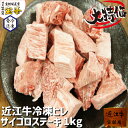 宝牧場 近江牛 特選 ヒレ 数量限定 1000g 4人前～6人前 サイコロステーキ サイコロ 肉ギフト 産地直送 ステーキ肉 ギフト のし 冷凍 1kg 黒毛和牛ヒレステーキ 赤身肉 ヒレ肉ステーキ 赤身 ヒレ肉 1キロ ひれ 柔らかい 高級肉 お肉 産直 国産 牛肉 送料無料