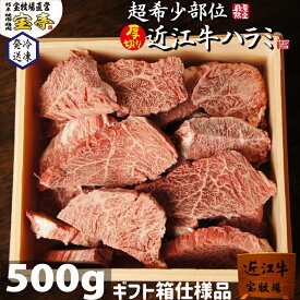 ギフト専用 宝牧場 近江牛 超希少 ハラミ 厚切り 500g ギフト 贈り物 プレゼント 贈答用牛肉 ハラミ肉 美味しい肉 高級グルメ 喜ばれる 和牛 はらみ 牛肉 焼き肉ギフト 冷凍 赤身 冷凍牛肉 柔らかい 焼肉 赤身肉 焼肉用 贈答 贈答品 贈答用 国産