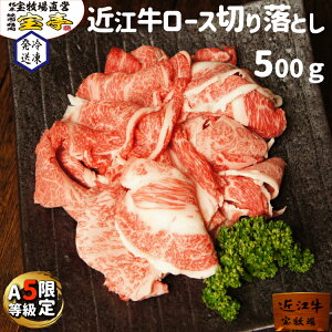 q ߍ] I [X XCX ~ 500g 3lO`4lO  ~ ؂藎Ƃ ~ Ă v[g 蕨  ؂藎Ƃ [X T[C Ⓚ XC
