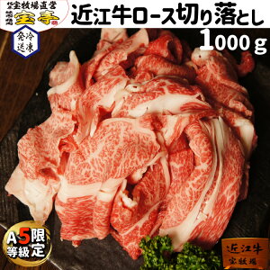 ߍ] I [X ~ q500gx2pbN 5lO`7lO hV̓ Mtg  ؂藎Ƃ ߍ]Ă ~ ~ ߍ]Ă Ԃ  a ؂藎