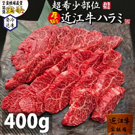 宝牧場 近江牛 超希少 ハラミ 国産 400g 肉 和牛ギフト 赤身 厚切り 焼肉 お肉 ごちそう 贅沢 肉セット 焼肉用 近江牛ハラミ 和牛 牛肉 高級 焼き肉用 高級肉 焼肉セット 産地直送 産直 国産牛肉 焼き肉 焼き肉セット 牛ハラミ はらみ ハラミ肉 冷凍肉