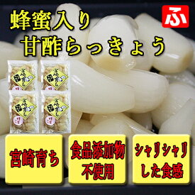 【九州育ち】蜂蜜入り甘酢らっきょう（大薗漬物）130g×4袋【送料無料】