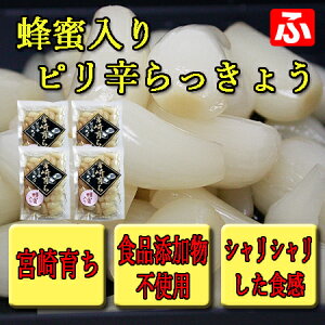 yB炿zIsh傤 270g×4܁q{炿ryz