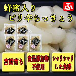 yB炿zIsh傤i剒Еj270g×5