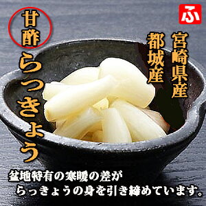 {茧Y Ð|傤i㉫YƁj130g×3 yz