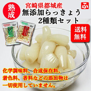 yzÂ傤Esh傤80gi㉫YƁjZbgy{Yz