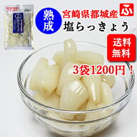 塩らっきょう（上沖産業）80g×3袋【宮崎産】【こだわりの低温熟成】【送料無料】