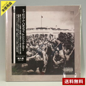 【未使用品】Kendrick Lamar To Pimp A Butterfly 輸入盤 チェコ製 2枚組 LP レコード ケンドリック・ラマー シュリンク付き 帯付き◆343f21