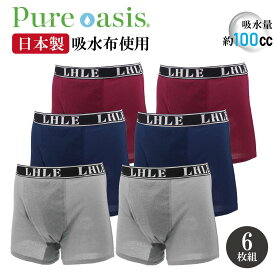 失禁パンツ 男性用 約100cc ボクサーパンツ 6枚セット 3色(各2) 吸水 消臭 防水 メンズ 通気性 メッシュ素材 ちょい漏れ 尿漏れ 残尿 ギフト