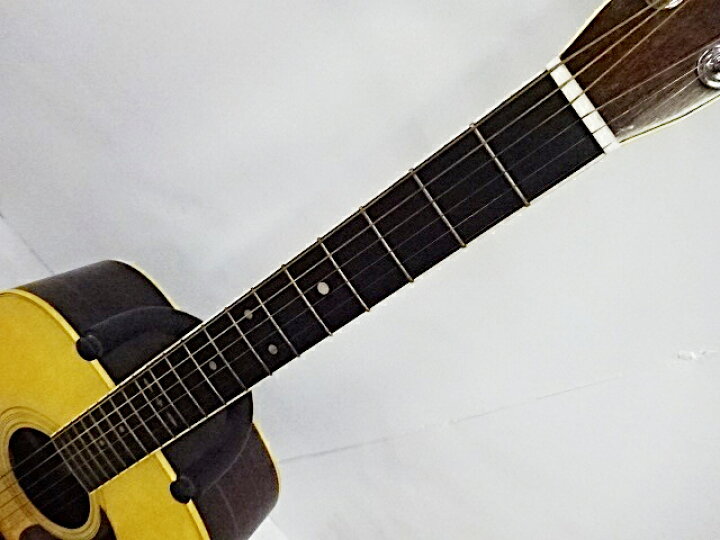 楽天市場】【中古】 東海楽器 TOKAI トーカイ Cat