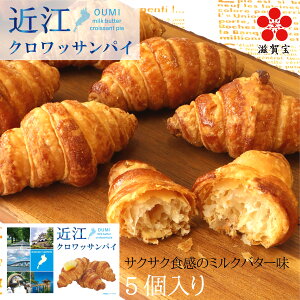NbT@ ߍ]o^[NbTpCi5)      ފ @ kCo^[ NbT TNTN  Hi Ԃ 蕨  َq yY@