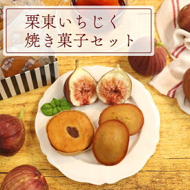 栗東いちじく焼き菓子セット公式 送料無料 母の日 父の日 御歳暮 お中元 夏ギフト 内祝 お礼 プレゼント ギフト 滋賀 セット 贈り物 詰合せ 焼き菓子 個包装 誕生日 お土産 タカラマルシェ 栗東いちじくケーキ 5個入り 栗東いちじくフィナンシェ 5個入り