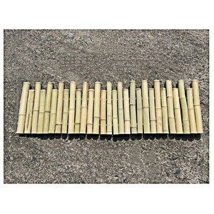 ډB ̃tFXAO | {[ |_tFX K[f tFX ̑ {K`EtFX A pl Co