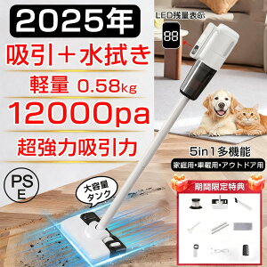 �|���@ �R�[�h���X �y�� 12000pa�z���� ���͋z�� �z�����@����� �T�C�N���� ���� ������ USB-TypeC�[�d�� ��e�ʃ^���N �ȃG�l �É� ��