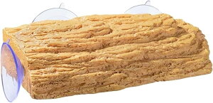 傫T̕ T n͋[A΁AX 3̋͂ȋzՋT  JєJɓKĂ܂ JXo