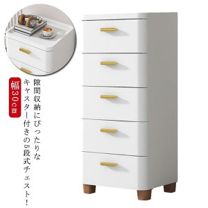 `FXg Ԏ[ 30cm X 5i  [P[X ^X LX^[t rO`FXg [I Lb``FXg ʏ E