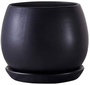 Aؔ 픫    󂯎Mt  v^[ A ϗtA ꌊ k   CeA (S(10CM) sN)