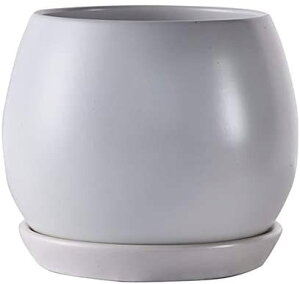 Aؔ 픫    󂯎Mt  v^[ A ϗtA ꌊ k   CeA (S(10CM) sN)