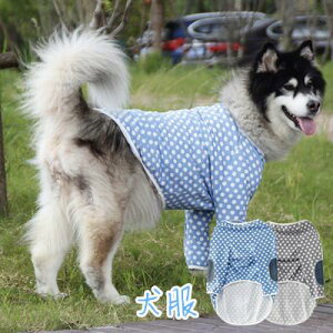 ���� �h�b�O�E�F�A �y�b�g�� �v���I�[�o�[ �����іh�~ �������� ���^�� ��^�� �h�� �h�b�g���@�ϋv�� �y�b�g�p�i ���� �������� �H�~