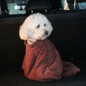 ���� �y�b�g�� �� �� �y�b�g�p�i �y�b�g�G�� ��^�� �����p ���� ���� �t�@�X�i�[�t�� �p�C�� �����΍� ���n �I�V���� �H�~�V�� ����