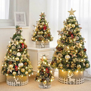 �Z�b�g ���� LED���C�g�t�� �k�� ������� �i�`������ ���� 60cm 90cm 120cm 150cm 180cm ��� �N���X�}�X�c���[�̖� �I�[�i�����g �V�N