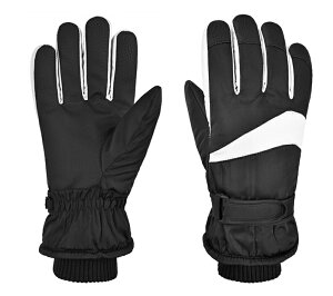 XL[O[u Xm{[ O[u XL[ h hO[u fB[X ۉh ʋC ~ߕt  oR V  