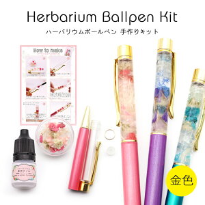 yn[oEyz  Lbg n[oEp{[y y10OFFN[|zzzy[֑ΉzH I[^J[ NX}X v[g q NtgLbg n[oE 