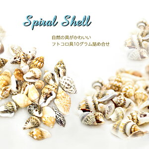 yLkzȊL@10OZbgy[֑Ήz@UVW ANZT[ ăp[c fRp[c VRL