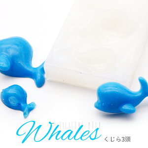 VR[h@NW ~ CJ 3y[֑ΉzUVWNtg VR[h nhCh@W @| VR^ W^