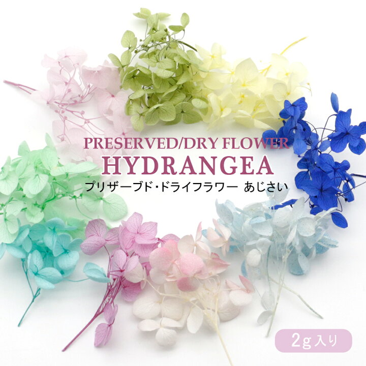 楽天市場 ドライフラワー プリザーブド あじさい 15色選べる 紫陽花 手作りキット メール便対応 ハーバリウム ハーバリューム タカラネイル Takaranail 楽天市場 ドライフラワー プリザーブド あじさい 15色選べる 紫陽花 手作りキット メール便対応 ハーバリウム ハーバリューム タカラネイル Takaranail