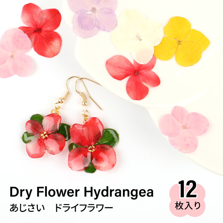 楽天市場 押し花 梅雨 お花 選べる６色 あじさい メール便対応 アジサイ 紫陽花 レジンクラフト 手作り レジン ハンドメイド タカラネイル Takaranail