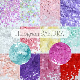 【10％OFFクーポン配布中】ホログラム さくら 桜 花びら 花弁 フラワー 春 14種 【メール便対応】レジン 封入 ネイルアート ジェルネイル デコパーツ