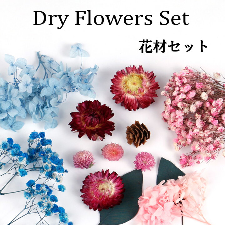 楽天市場】【ドライフラワー】花材セット B ハーバリウム ワックス 