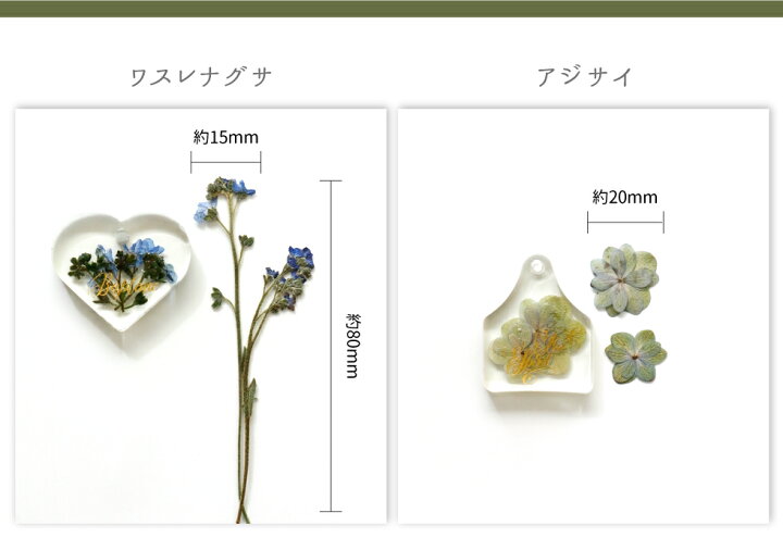 楽天市場】【10％OFFクーポン配布中】レジン ボタニカルチャームキット  