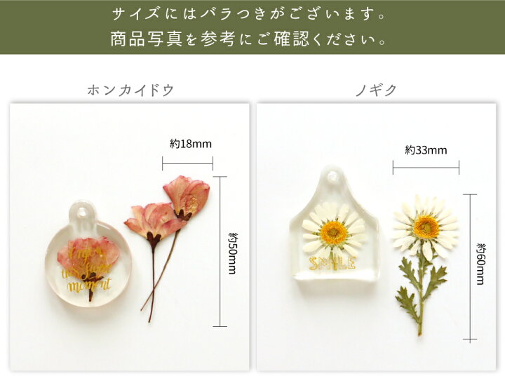 楽天市場】【10％OFFクーポン配布中】レジン ボタニカルチャームキット  